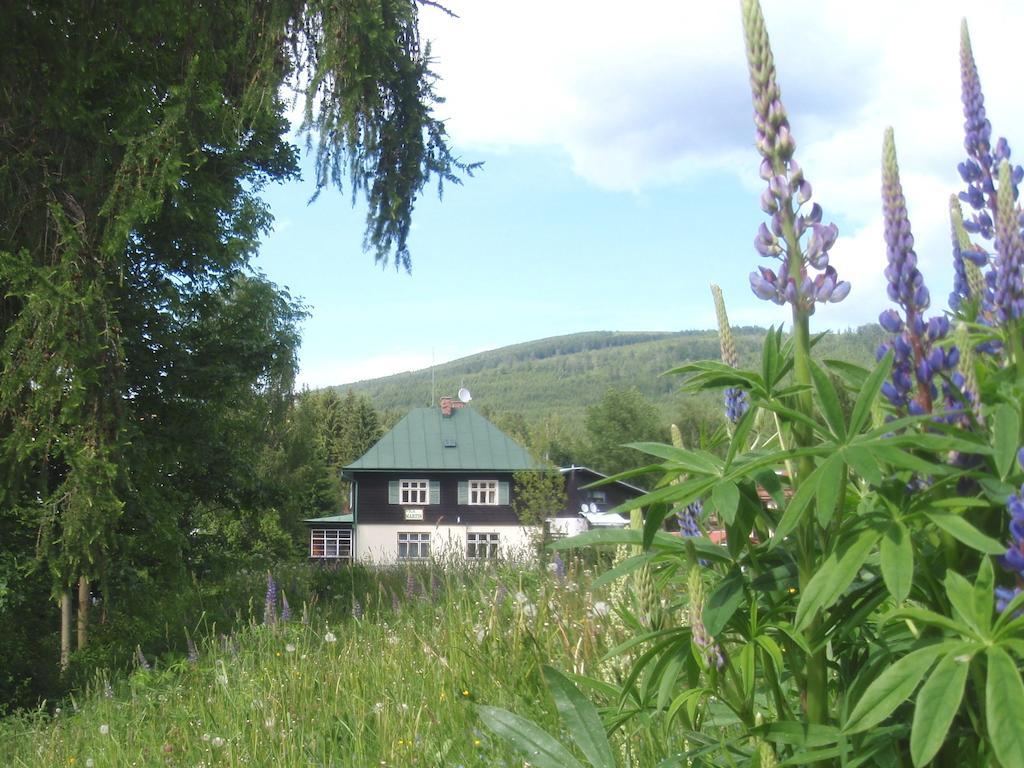 Vila Martin Harrachov Zewnętrze zdjęcie
